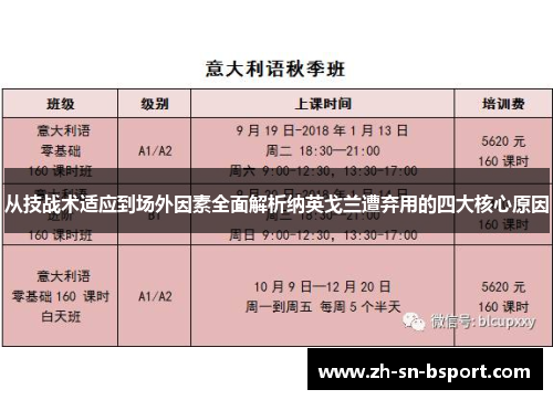 从技战术适应到场外因素全面解析纳英戈兰遭弃用的四大核心原因