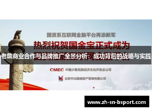 老詹商业合作与品牌推广全景分析：成功背后的战略与实践