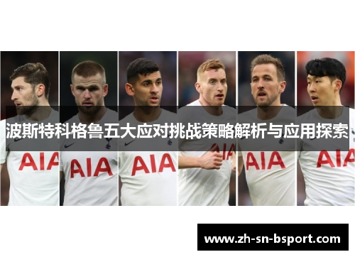 波斯特科格鲁五大应对挑战策略解析与应用探索